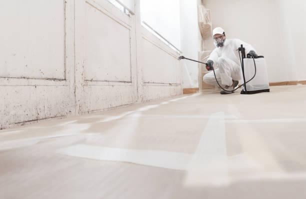 24/7 Emergency Mold Testing experts in Doylestown, PA