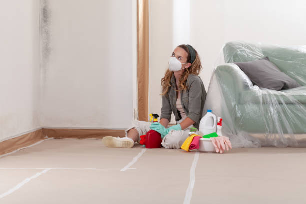 Reliable Mold Testing contractor in Doylestown, PA by WQB Mold Removal